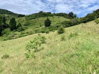 Se vende amplio lote de 28 hectáreas en San Nicolas de Cartago 25-338