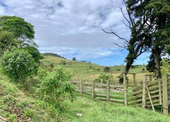 Se vende amplio lote de 28 hectáreas en San Nicolas de Cartago 25-338