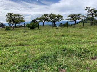 Se vende amplio lote de 28 hectáreas en San Nicolas de Cartago 25-338