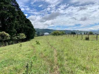 Se vende amplio lote de 28 hectáreas en San Nicolas de Cartago 25-338