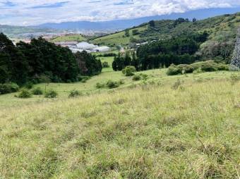 Se vende amplio lote de 28 hectáreas en San Nicolas de Cartago 25-338