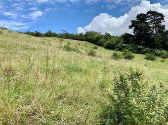 Se vende amplio lote de 28 hectáreas en San Nicolas de Cartago 25-338