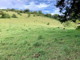 Se vende amplio lote de 28 hectáreas en San Nicolas de Cartago 25-338