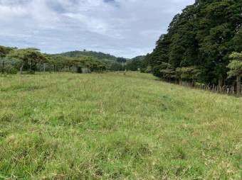 Se vende amplio lote de 28 hectáreas en San Nicolas de Cartago 25-338