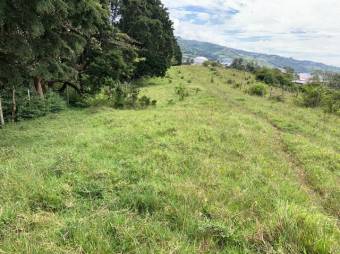 Se vende amplio lote de 28 hectáreas en San Nicolas de Cartago 25-338