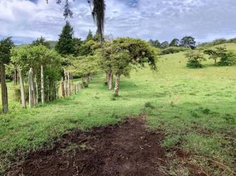 Se vende amplio lote de 28 hectáreas en San Nicolas de Cartago 25-338
