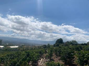 Se vende amplia finca de 18 hectáreas en Concepción Heredia 25-1394