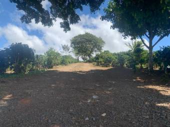 Se vende amplia finca de 18 hectáreas en Concepción Heredia 25-1394