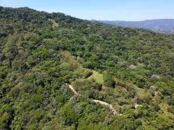 Se vende amplia finca de 36 hectáreas en Colon de Mora 25-1322 Se vende amplia finca de 36 hectáreas en Colon de Mora 25-1322