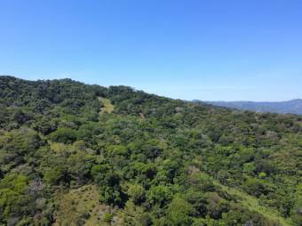 Se vende amplia finca de 36 hectáreas en Colon de Mora 25-1322 Se vende amplia finca de 36 hectáreas en Colon de Mora 25-1322