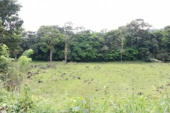 Se vende amplia propiedad de 219 hectáreas en Guápiles de Limón 23-908 Se vende amplia propiedad de 219 hectáreas en Guápiles de Limón 23-908