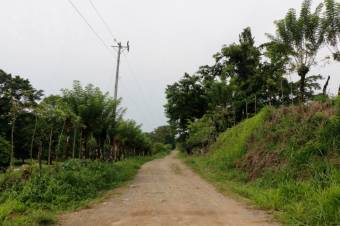 Se vende amplia propiedad de 219 hectáreas en Guápiles de Limón 23-908 Se vende amplia propiedad de 219 hectáreas en Guápiles de Limón 23-908