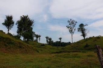 Se vende amplia propiedad de 219 hectáreas en Guápiles de Limón 23-908 Se vende amplia propiedad de 219 hectáreas en Guápiles de Limón 23-908