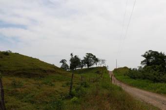 Se vende amplia propiedad de 219 hectáreas en Guápiles de Limón 23-908 Se vende amplia propiedad de 219 hectáreas en Guápiles de Limón 23-908