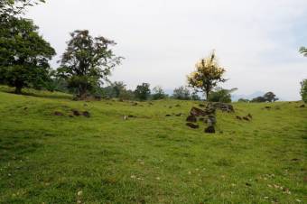 Se vende amplia propiedad de 219 hectáreas en Guápiles de Limón 23-908 Se vende amplia propiedad de 219 hectáreas en Guápiles de Limón 23-908