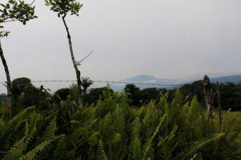 Se vende amplia propiedad de 219 hectáreas en Guápiles de Limón 23-908 Se vende amplia propiedad de 219 hectáreas en Guápiles de Limón 23-908