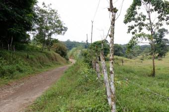 Se vende amplia propiedad de 219 hectáreas en Guápiles de Limón 23-908