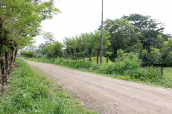 Se vende amplia propiedad de 219 hectáreas en Guápiles de Limón 23-908 Se vende amplia propiedad de 219 hectáreas en Guápiles de Limón 23-908