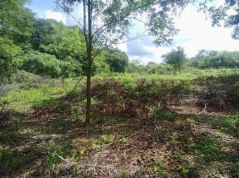Se vende amplio lote de 4.8 hectáreas en Liberia Guanacaste 25-559