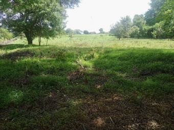 Se vende amplio lote de 4.8 hectáreas en Liberia Guanacaste 25-559