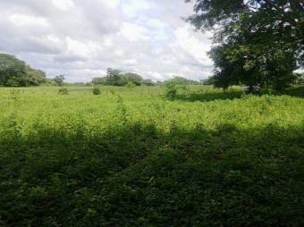 Se vende amplio lote de 4.8 hectáreas en Liberia Guanacaste 25-559