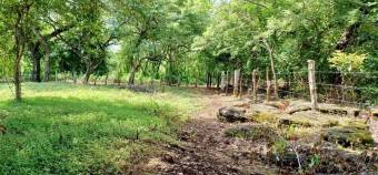 Se vende amplio lote de 4.8 hectáreas en Liberia Guanacaste 25-559