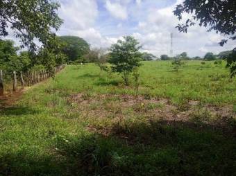 Se vende amplio lote de 4.8 hectáreas en Liberia Guanacaste 25-559