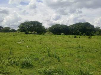 Se vende amplio lote de 4.8 hectáreas en Liberia Guanacaste 25-559