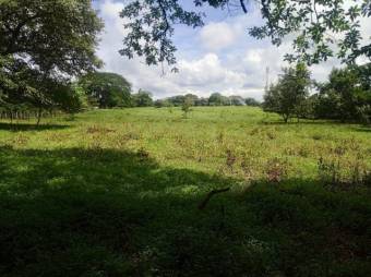 Se vende amplio lote de 4.8 hectáreas en Liberia Guanacaste 25-559