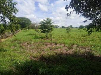 Se vende amplio lote de 4.8 hectáreas en Liberia Guanacaste 25-559