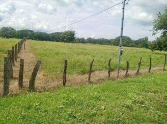 Se vende amplio lote de 4.8 hectáreas en Liberia Guanacaste 25-559