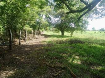 Se vende amplio lote de 4.8 hectáreas en Liberia Guanacaste 25-559