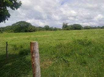 Se vende amplio lote de 4.8 hectáreas en Liberia Guanacaste 25-559