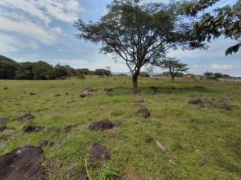 Se vende lote plano de 5.7 hectáreas en coyol de Alajuela 23-411