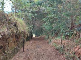 Se vende amplia finca con 28 hectáreas en San José de la Montaña 23-2563