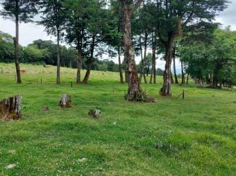 Se vende amplia finca con 28 hectáreas en San José de la Montaña 23-2563