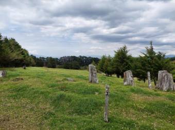 Se vende amplia finca con 28 hectáreas en San José de la Montaña 23-2563