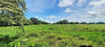 Se vende amplio lote de 7.5 hectáreas en Miramar Puntarenas 23-3495 Se vende amplio lote de 7.5 hectáreas en Miramar Puntarenas 23-3495