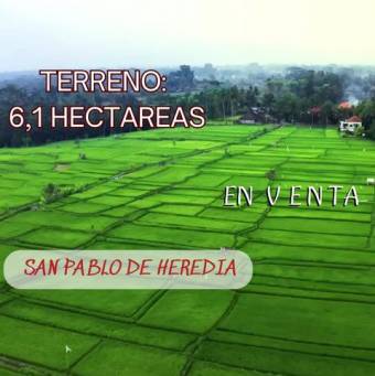Se vende amplio terreno con 6.11 hectáreas en San Pablo Heredia 25-729