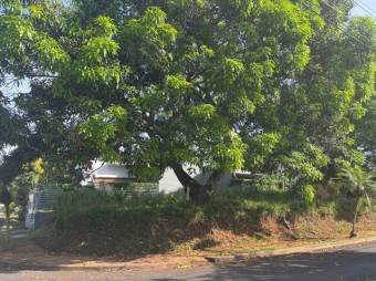 MLS-25-1207 LS VENTA LOTE OROTINA ALAJUELA MLS-25-1207 LS VENTA LOTE OROTINA ALAJUELA