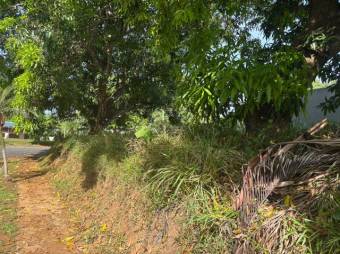 MLS-25-1207 LS VENTA LOTE OROTINA ALAJUELA MLS-25-1207 LS VENTA LOTE OROTINA ALAJUELA