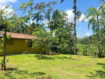 Se vende casa con mas de 9,400m2 de lote en Peñas Blancas 23-3095 Se vende casa con mas de 9,400m2 de lote en Peñas Blancas 23-3095