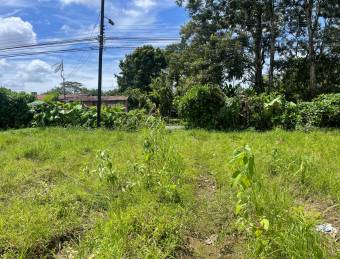 Venta TERRENO Guápiles, Astúa Pirie, Pococí.   Suma de dos terrenos, con dos frente a calle pública.
