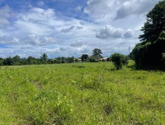 Venta TERRENO Guápiles, Astúa Pirie, Pococí.   Suma de dos terrenos, con dos frente a calle pública.