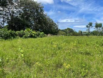 Venta TERRENO Guápiles, Astúa Pirie, Pococí.   Suma de dos terrenos, con dos frente a calle pública.