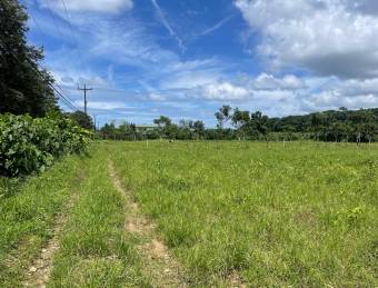 Venta TERRENO Guápiles, Astúa Pirie, Pococí.   Suma de dos terrenos, con dos frente a calle pública.