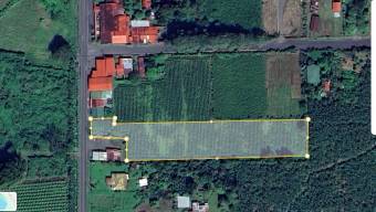 Venta TERRENO Guápiles, Astúa Pirie, Pococí.   Suma de dos terrenos, con dos frente a calle pública.