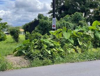 Venta TERRENO Guápiles, Astúa Pirie, Pococí.   Suma de dos terrenos, con dos frente a calle pública.