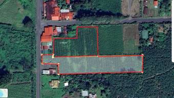 Venta TERRENO Guápiles, Astúa Pirie, Pococí.   Suma de dos terrenos, con dos frente a calle pública.