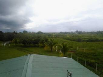 MLS-25-1273 LS VENTA FINCA GUATUSO ALAJUELA MLS-25-1273 LS VENTA FINCA GUATUSO ALAJUELA